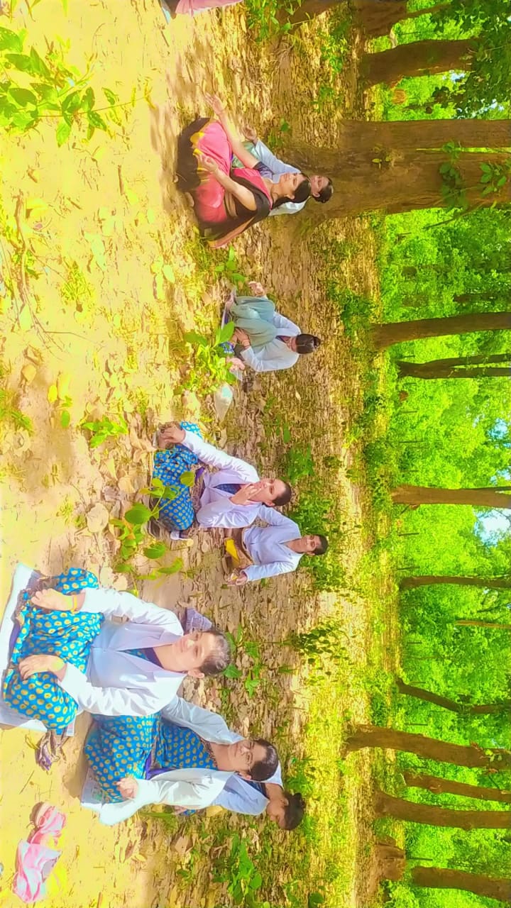 Tree Plantation Festival